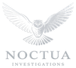 Sigla Noctua Investigations